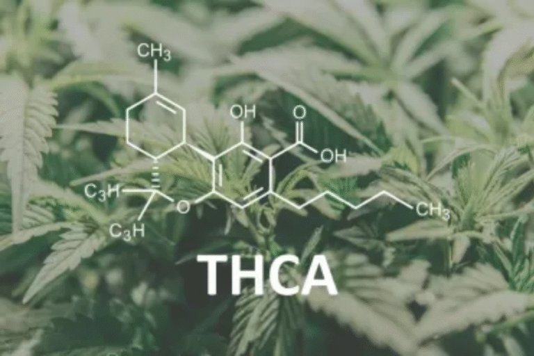 Are THCA Small Buds the Best Choice for Budget-Friendly Cannabis Users?