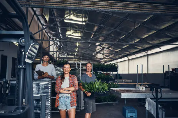 What Makes a Plant Store in Australia Truly World-Class?