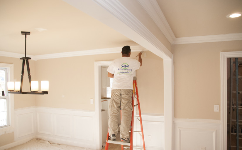 Transforming Interiors: A Complete Guide to Professional Painting Services in Cape Cod