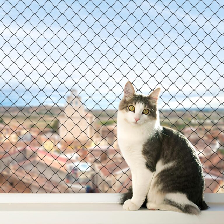 How Cat Net Installation in Dubai Protects Your Pets from Accidents